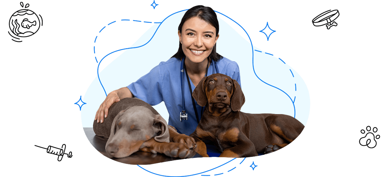 AI Receptionist for Veterinary Clinics